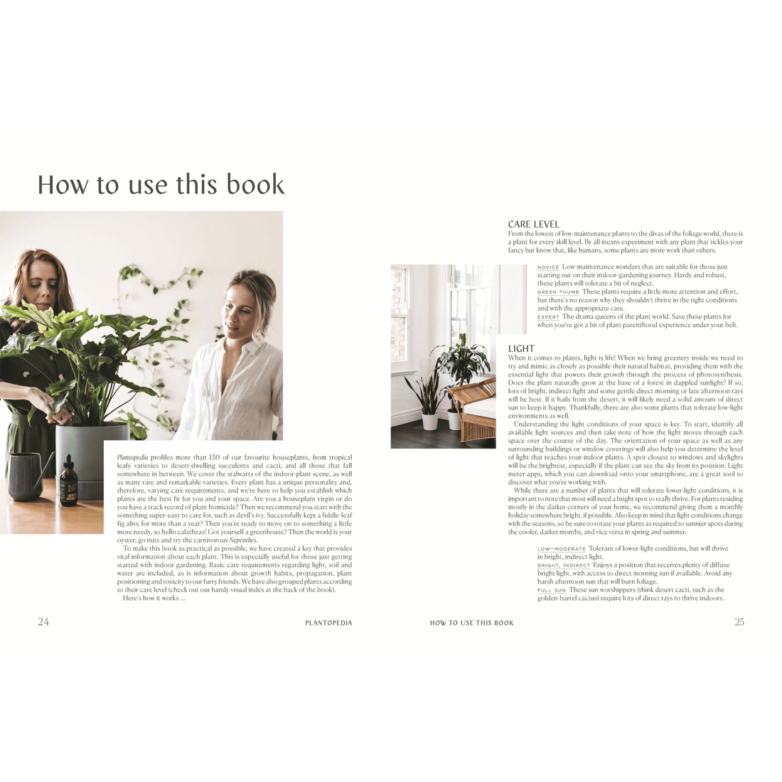 3 Plantopedia: The Definitive Guide to Houseplants by Lauren Camilleri and Sophia Kaplan - Book, 3 of 10