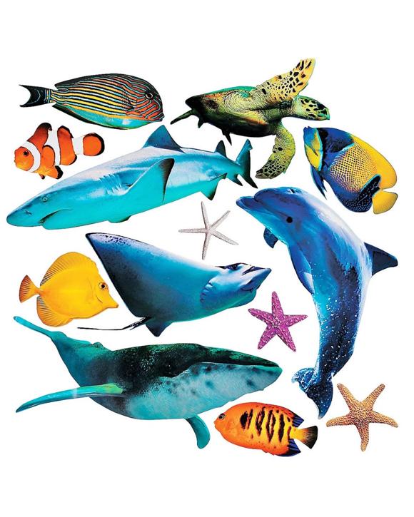 Fun Express Sea Life Cutout Wall Decorations Pack of 13     
.