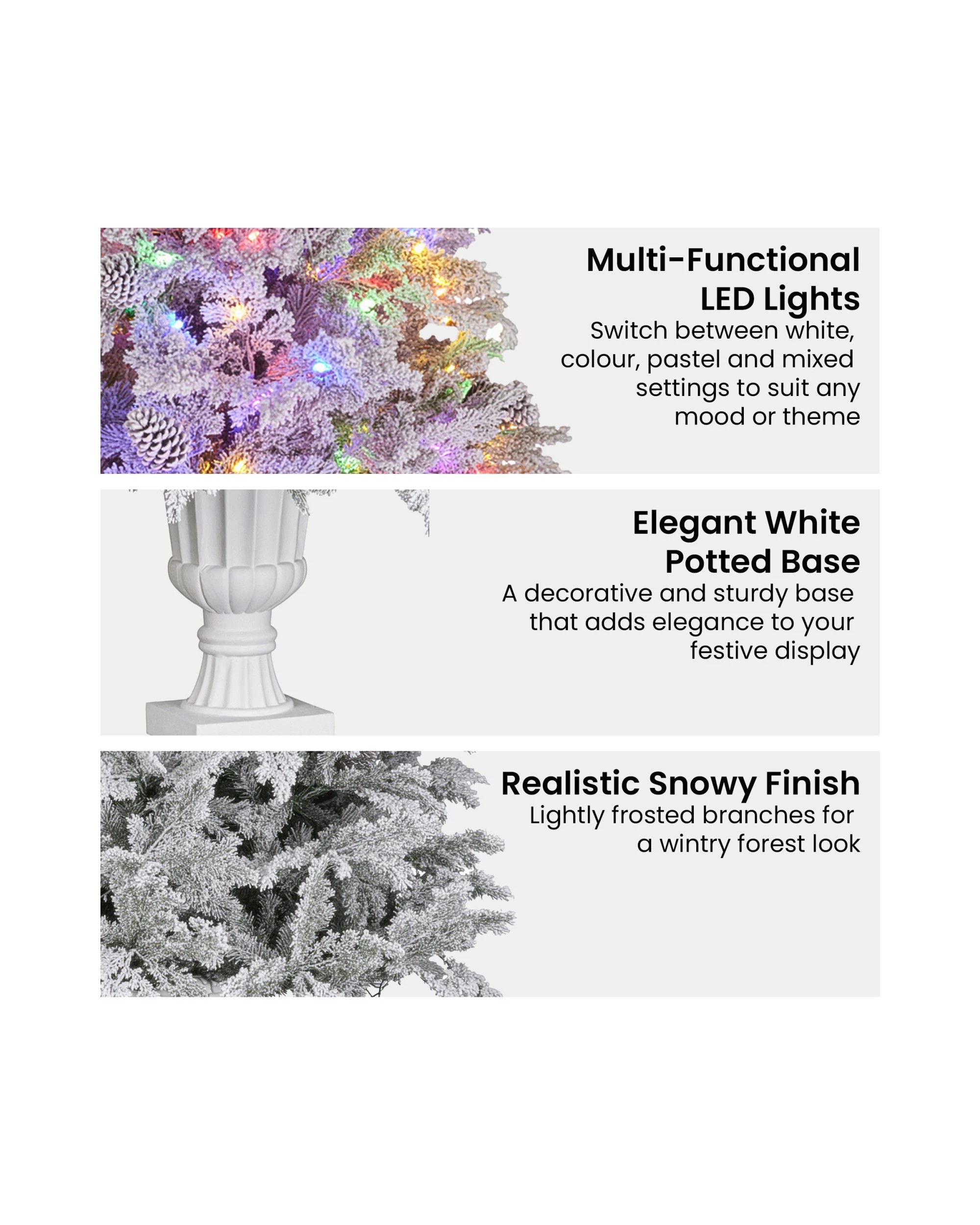 2 Christabelle 2.3m Christmas Tree Potted Alpine Fir With Pre Lit Multi-colour Led Lights, 2 of 2