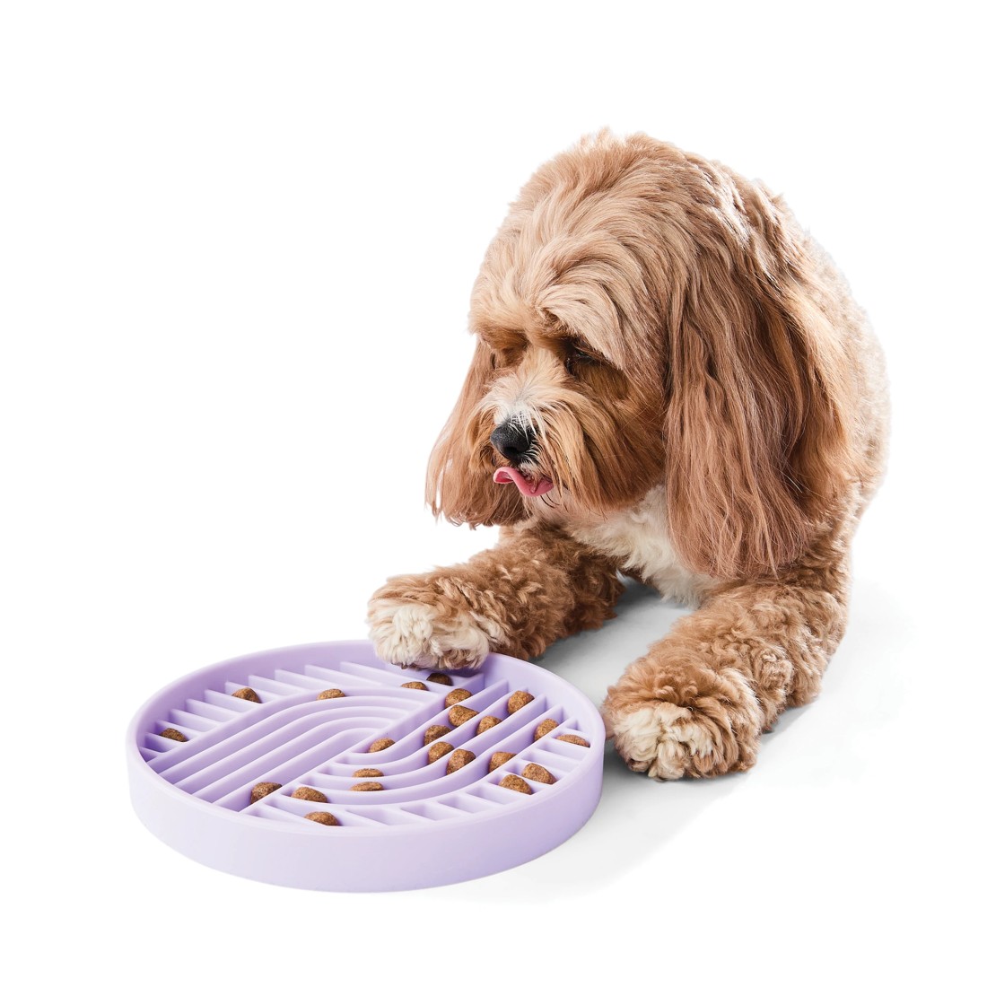 1 Pet Silicone Feeding Plate - Lilac, 1 of 7