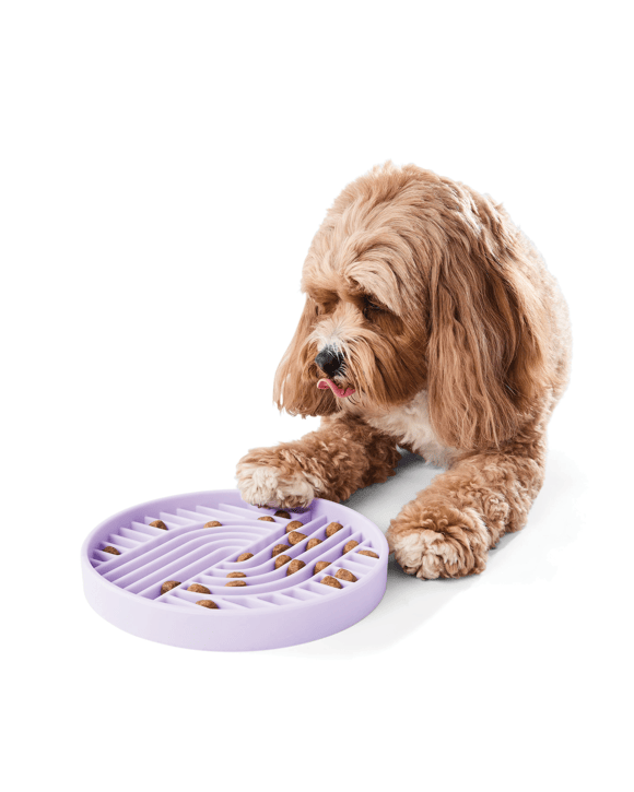 Pet Silicone Feeding Plate - Lilac