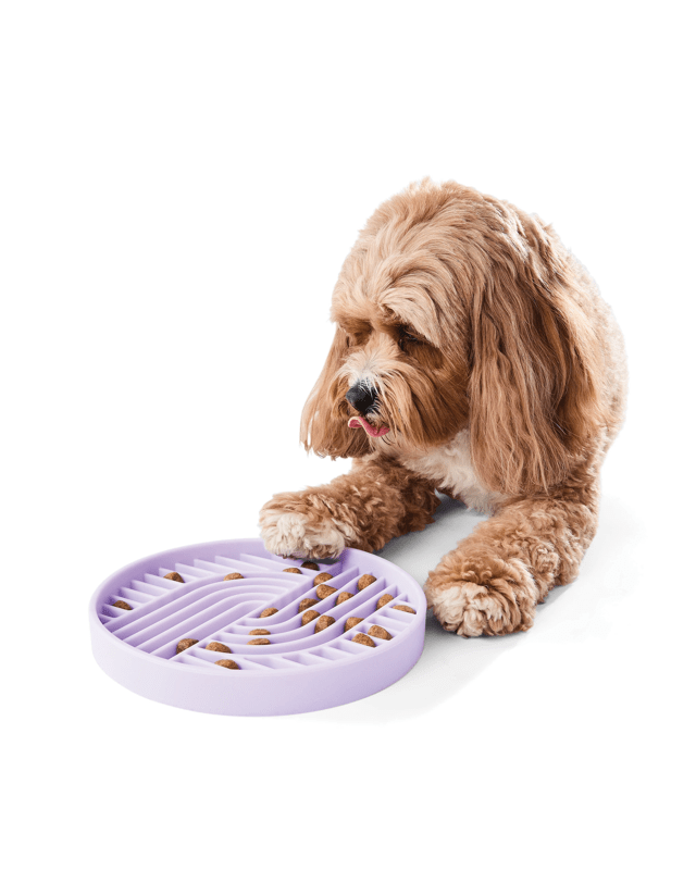 Pet Silicone Feeding Plate - L