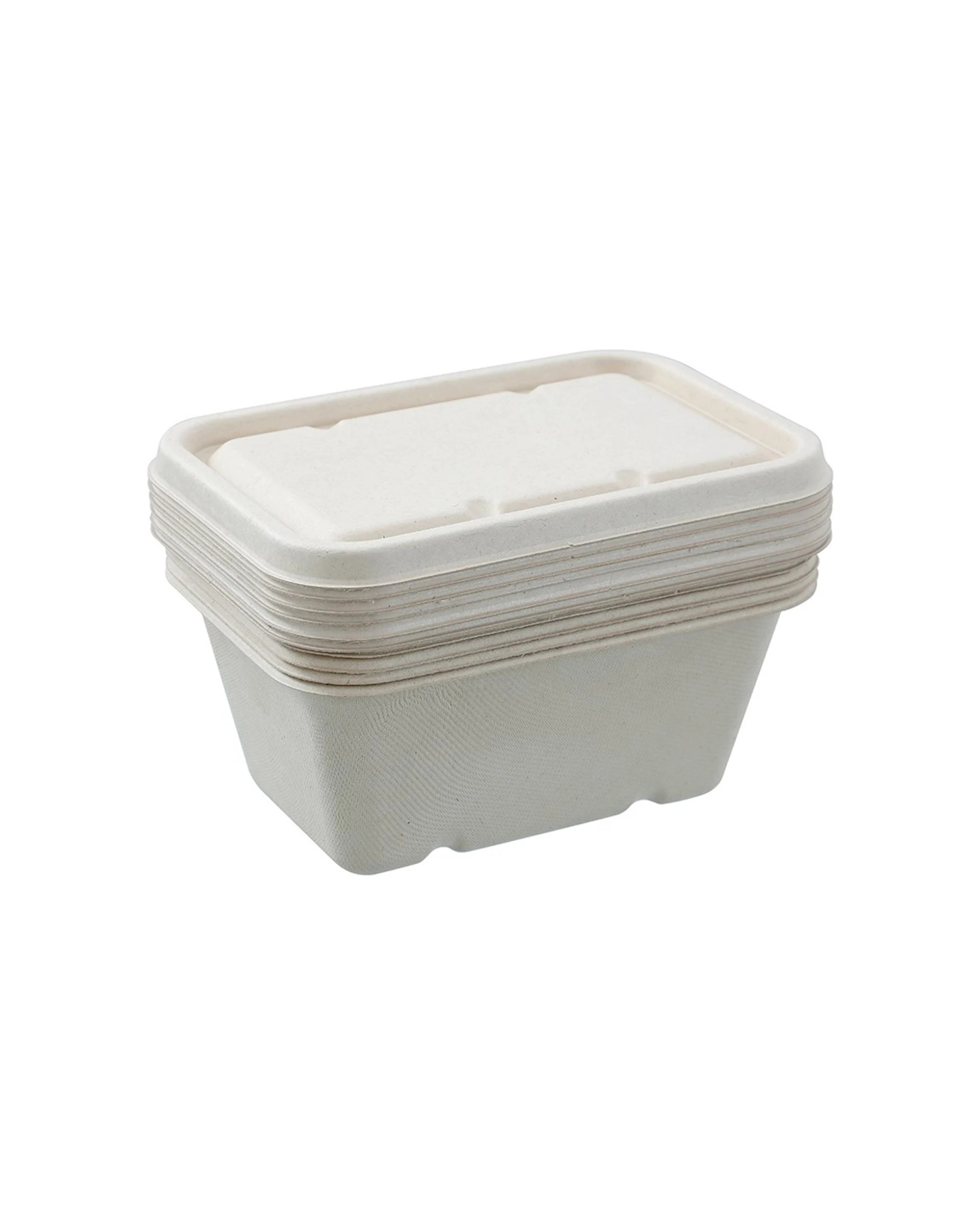 6 Lemon & Lime 12x 6pc Eco Sugarcane Food Container Set 1L Biodegradable Set - Multi, 6 of 6