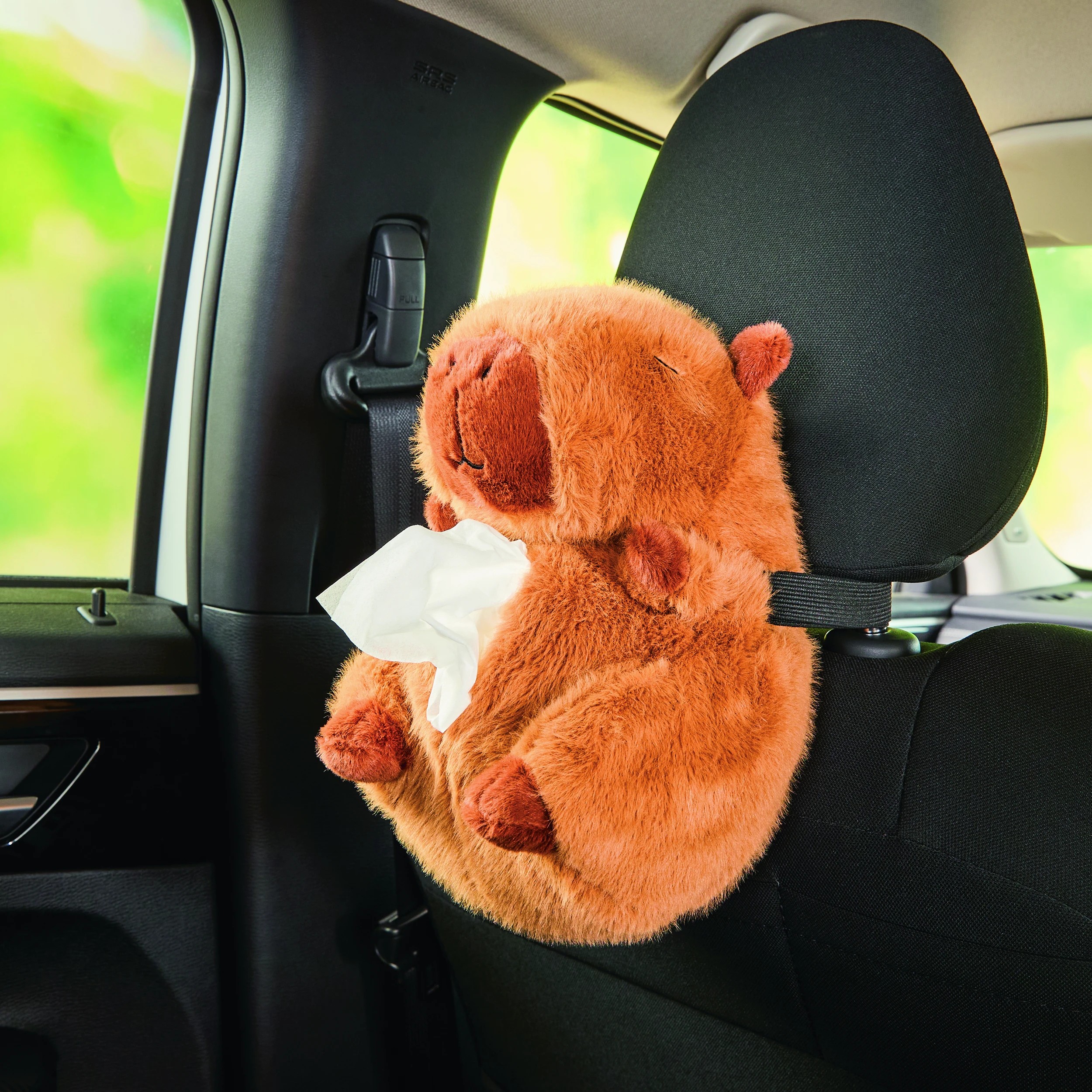 1 Car Tissue Holder - Capybara, 1 of 10
