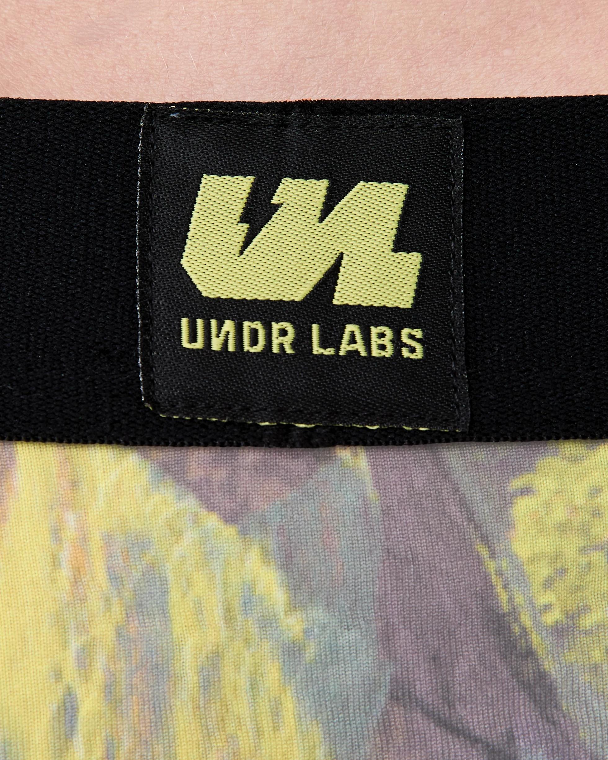 6 License Print Trunks Shrek W26, 6 of 6