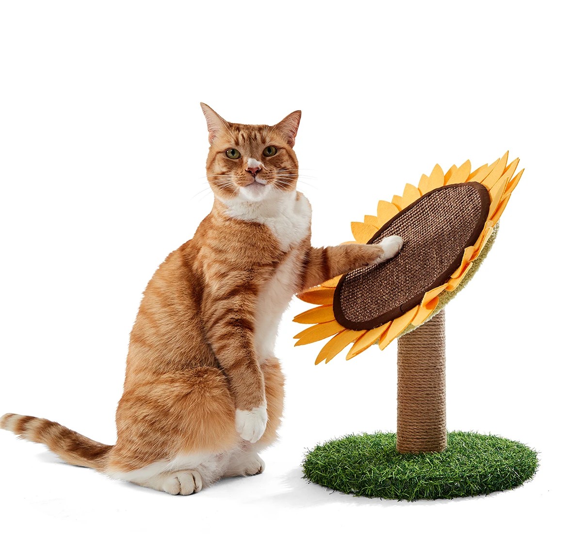 1 Cat Scratcher Sunflower, 1 of 8