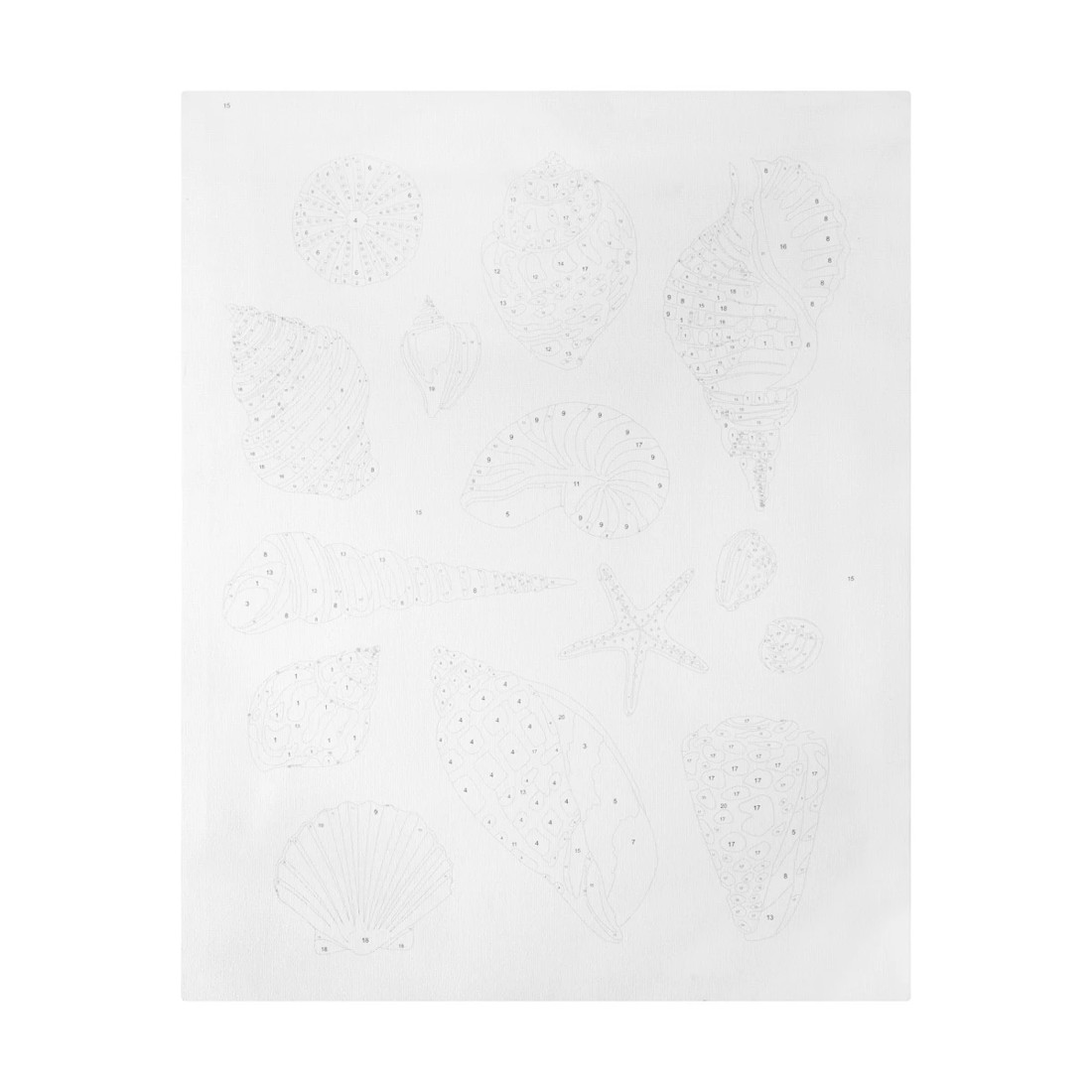 3 Paint By Numbers - Shell, 3 of 4