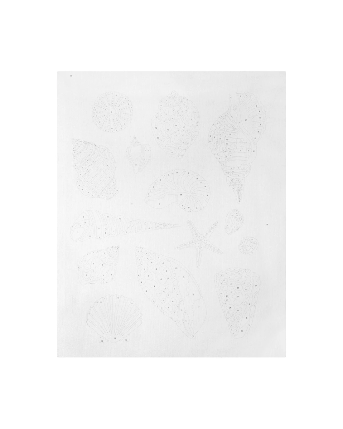 3 Paint By Numbers - Shell, 3 of 4