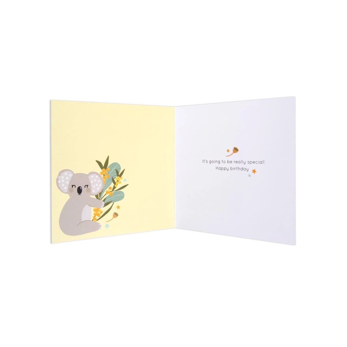 2 Hallmark Birthday Card - Australian Spirit Bush Buddies Koala, 2 of 3