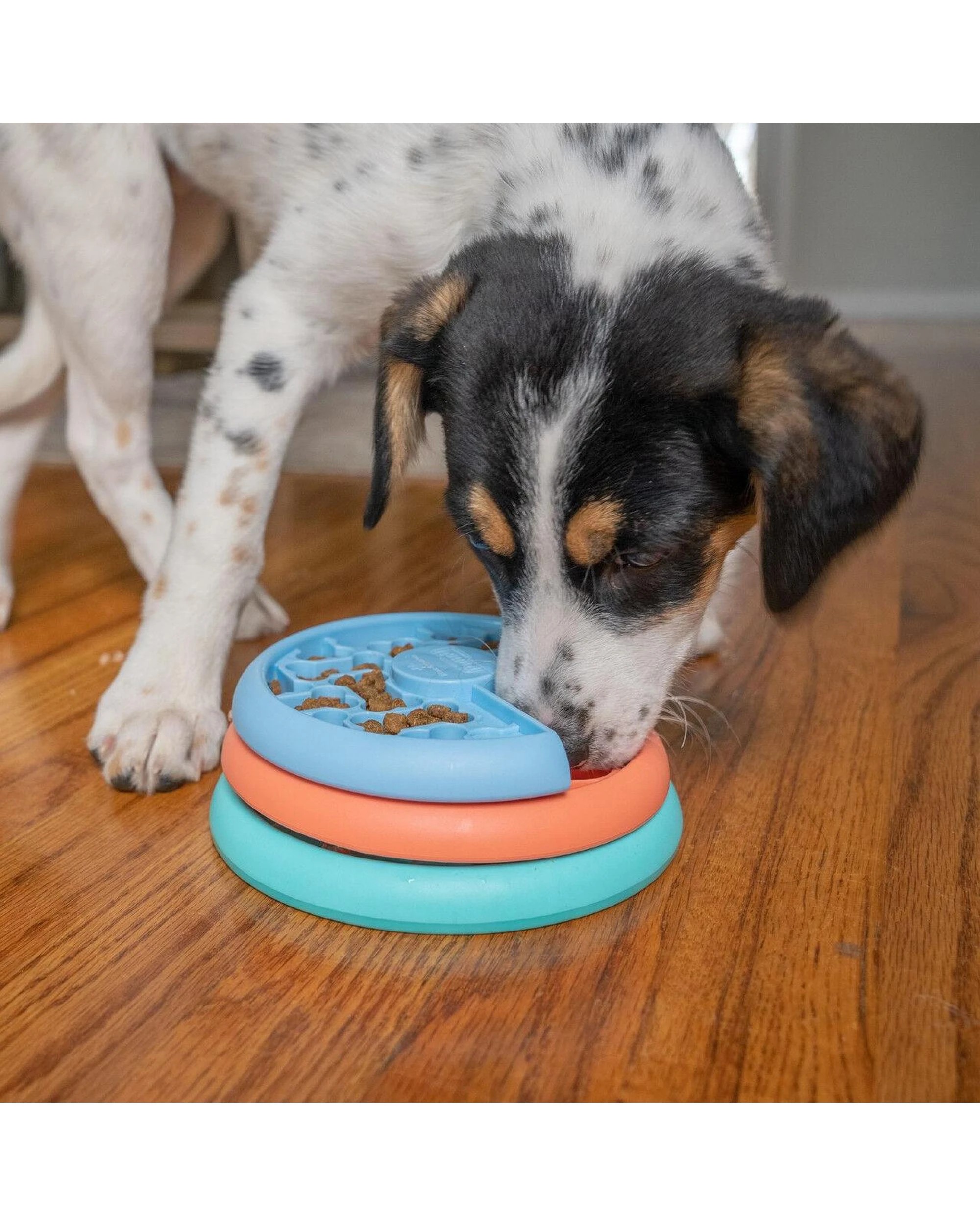 6 Outward Hound Nina Ottosson Puppy Lickin Layers Treat Dispenser Dog Toy, 6 of 6