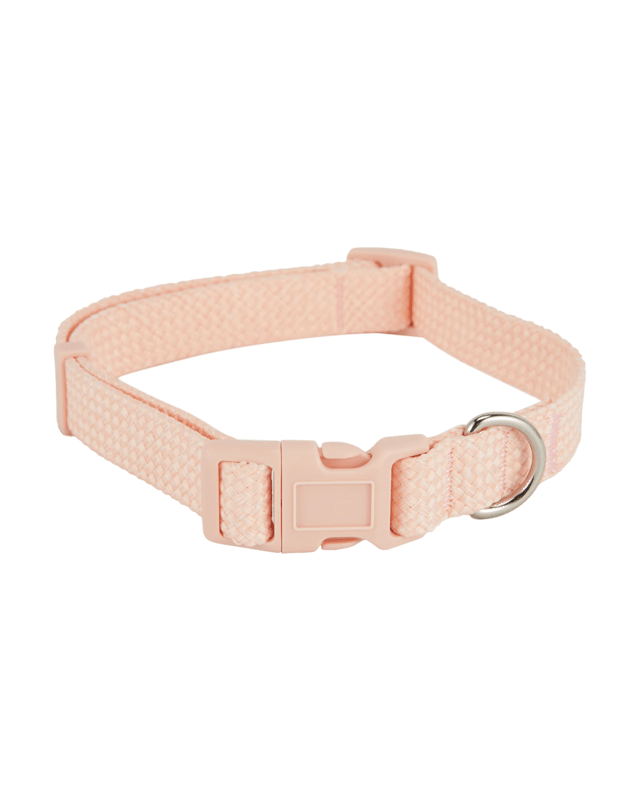 Pet Collar - Medium, 