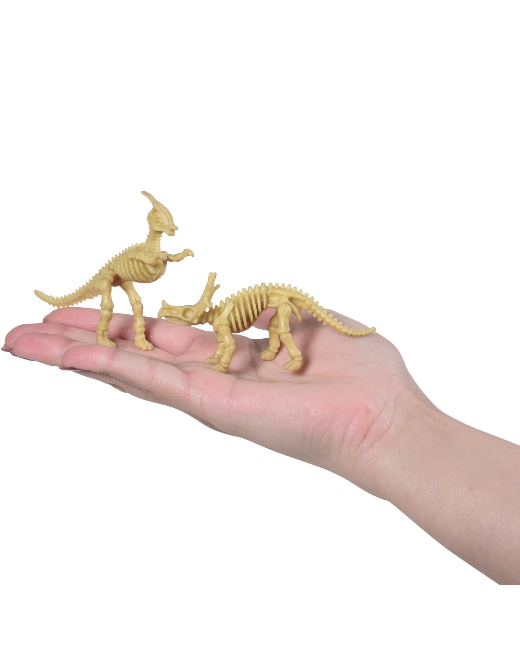 2 Partyrama Fossil Dinosaur Toys Pack of 12, 2 of 3