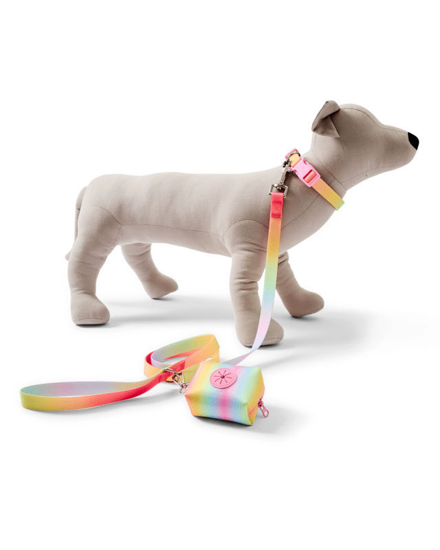 Pet Rainbow Walking Set - S