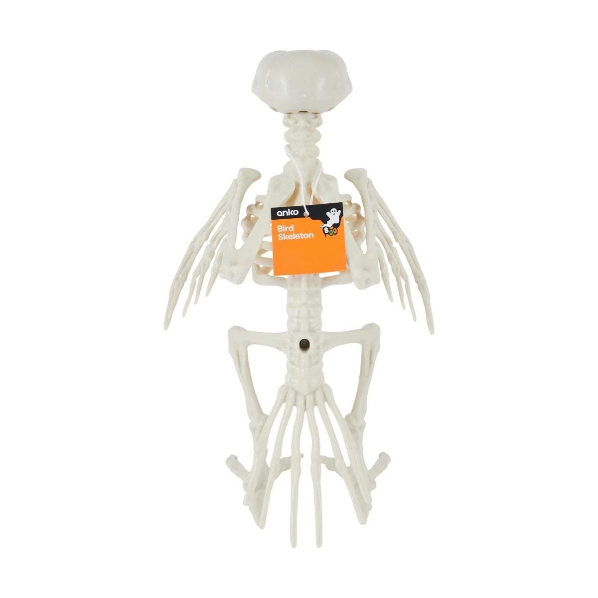 6 Bird Skeleton, 6 of 6