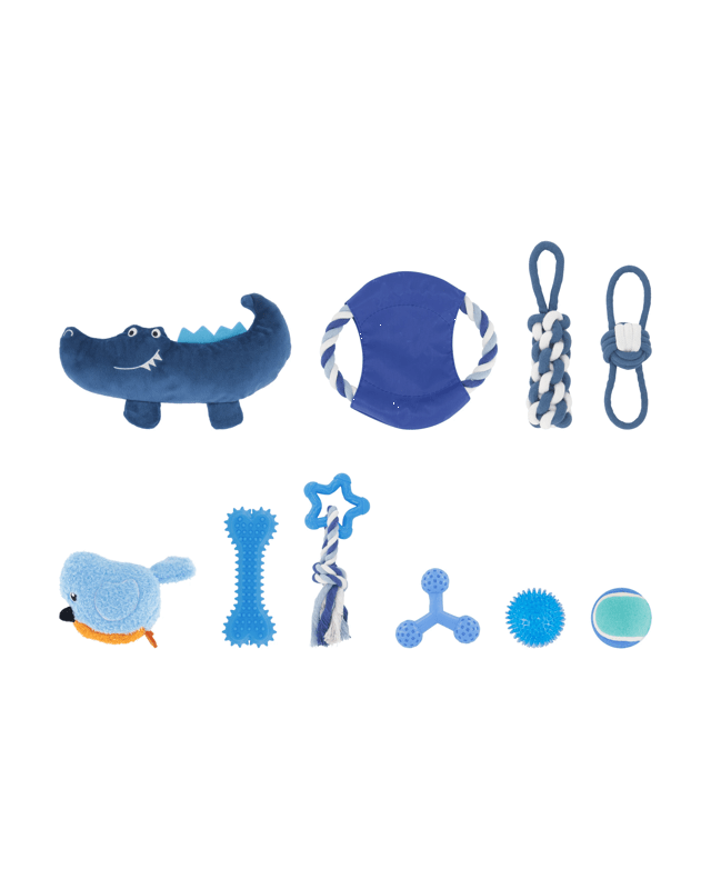 10 Pack Pet Toy Boy P