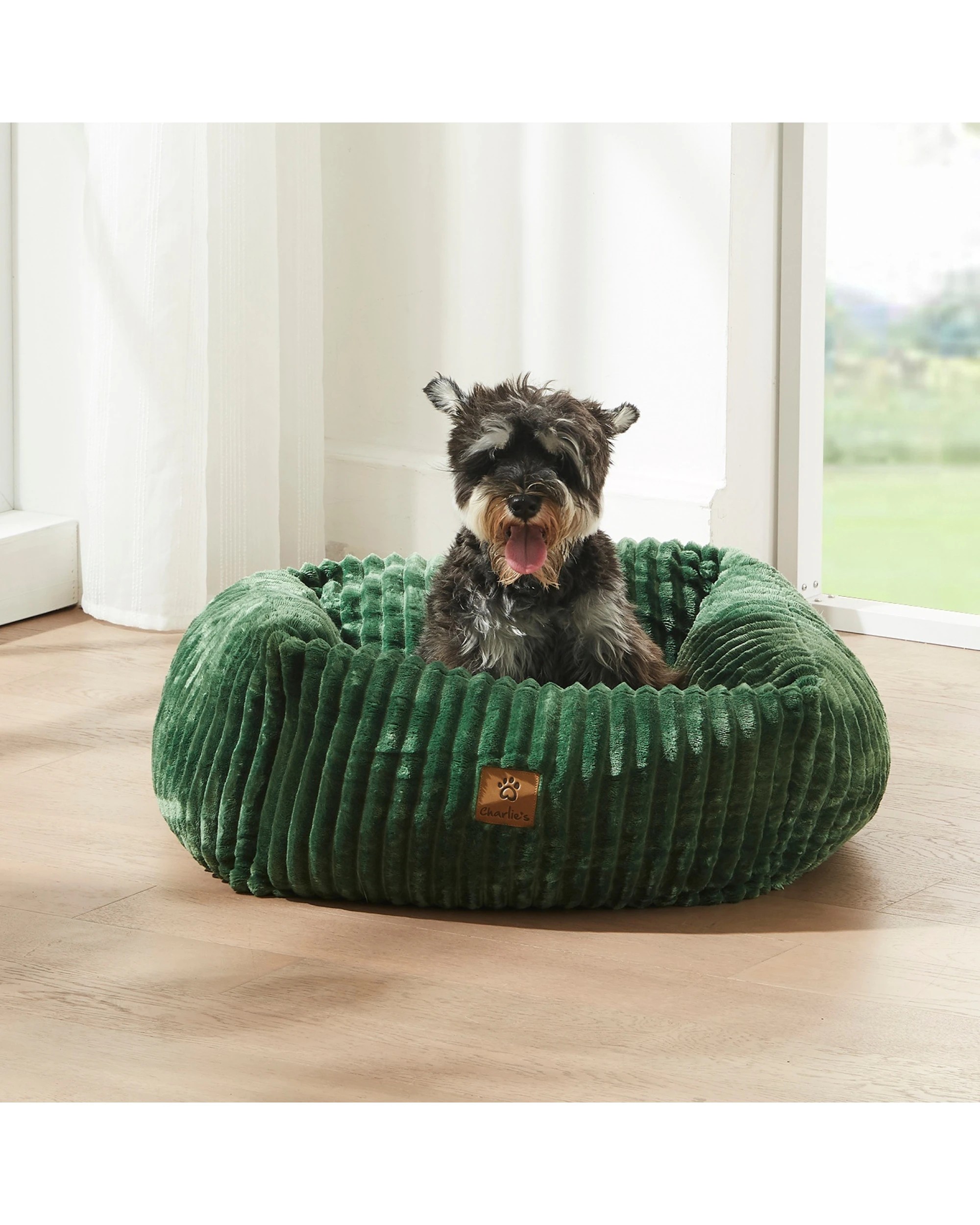 1 Charlie's Ascher Plush Corduroy Square Dog Bed Small - Eden Green, 1 of 8