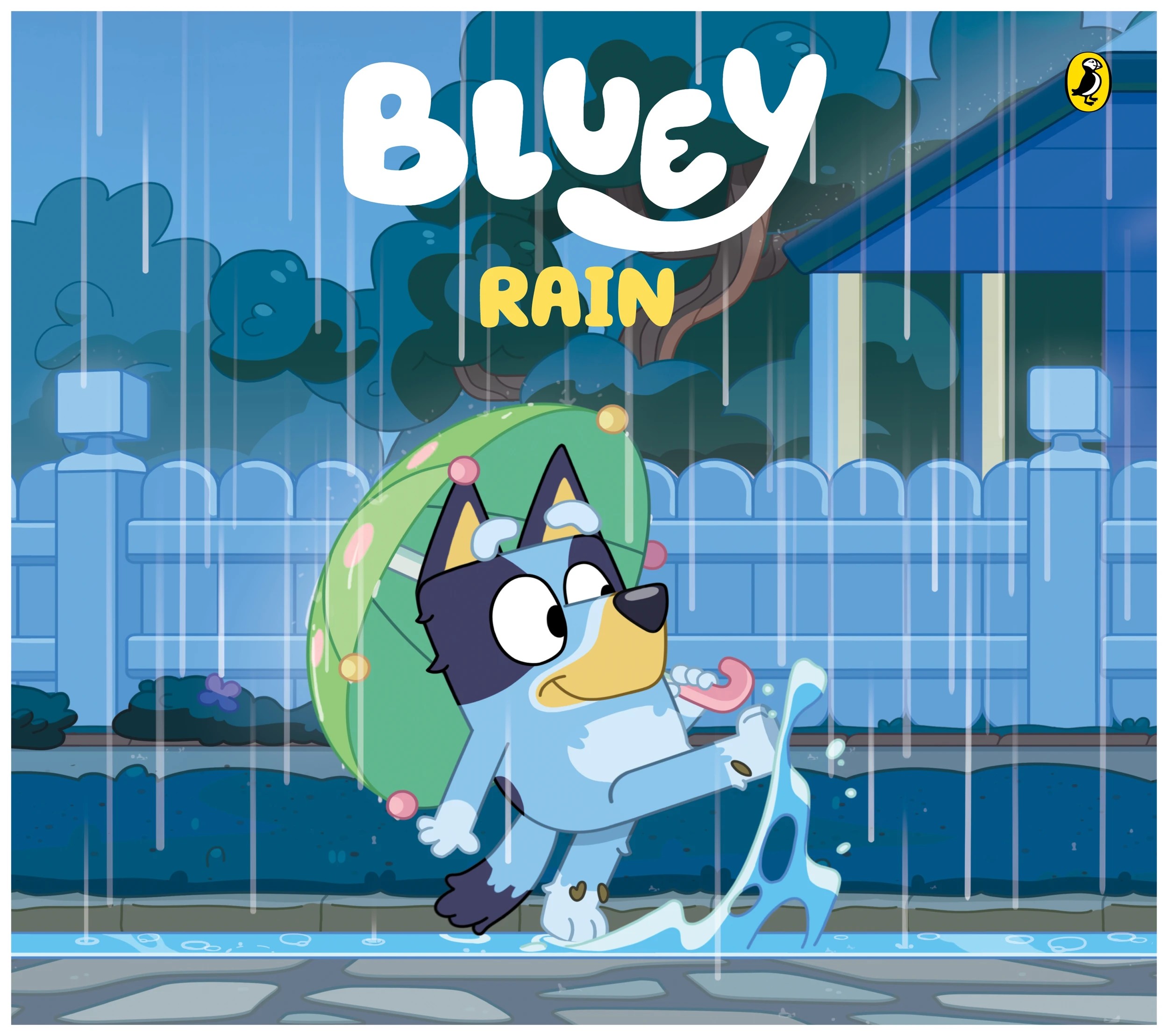 1 Bluey: Rain - Book, 1 of 1