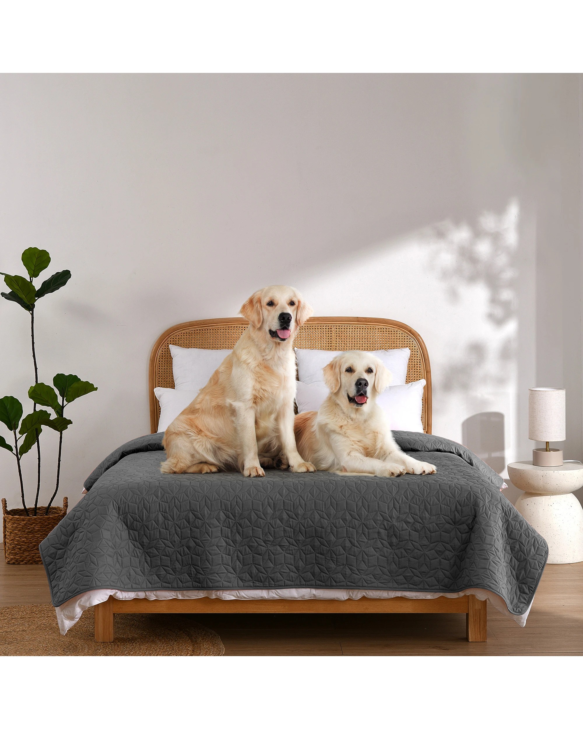 2 Charlie's Sofur Waterproof Dog Bed Cover Protector King/Super King 208x305cm - King/Super King Bed - Charcoal, 2 of 10