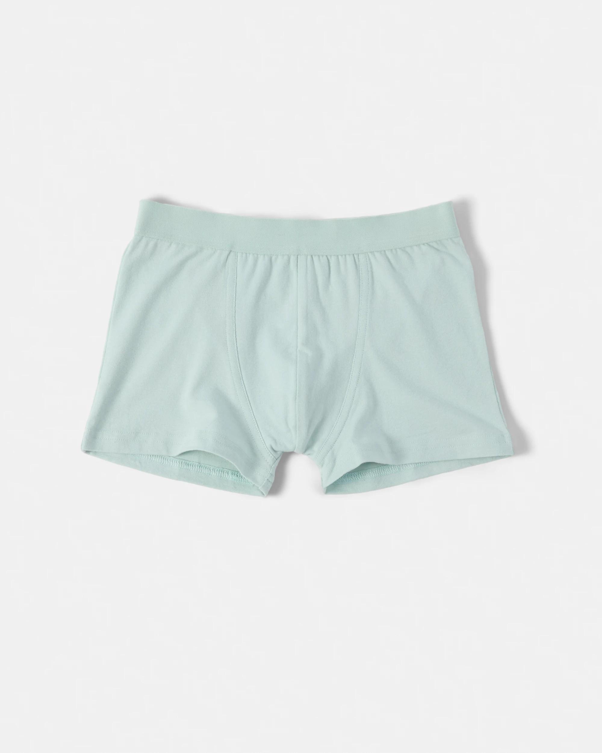 6 5 Pack Print Trunks Dino Multi, 6 of 7