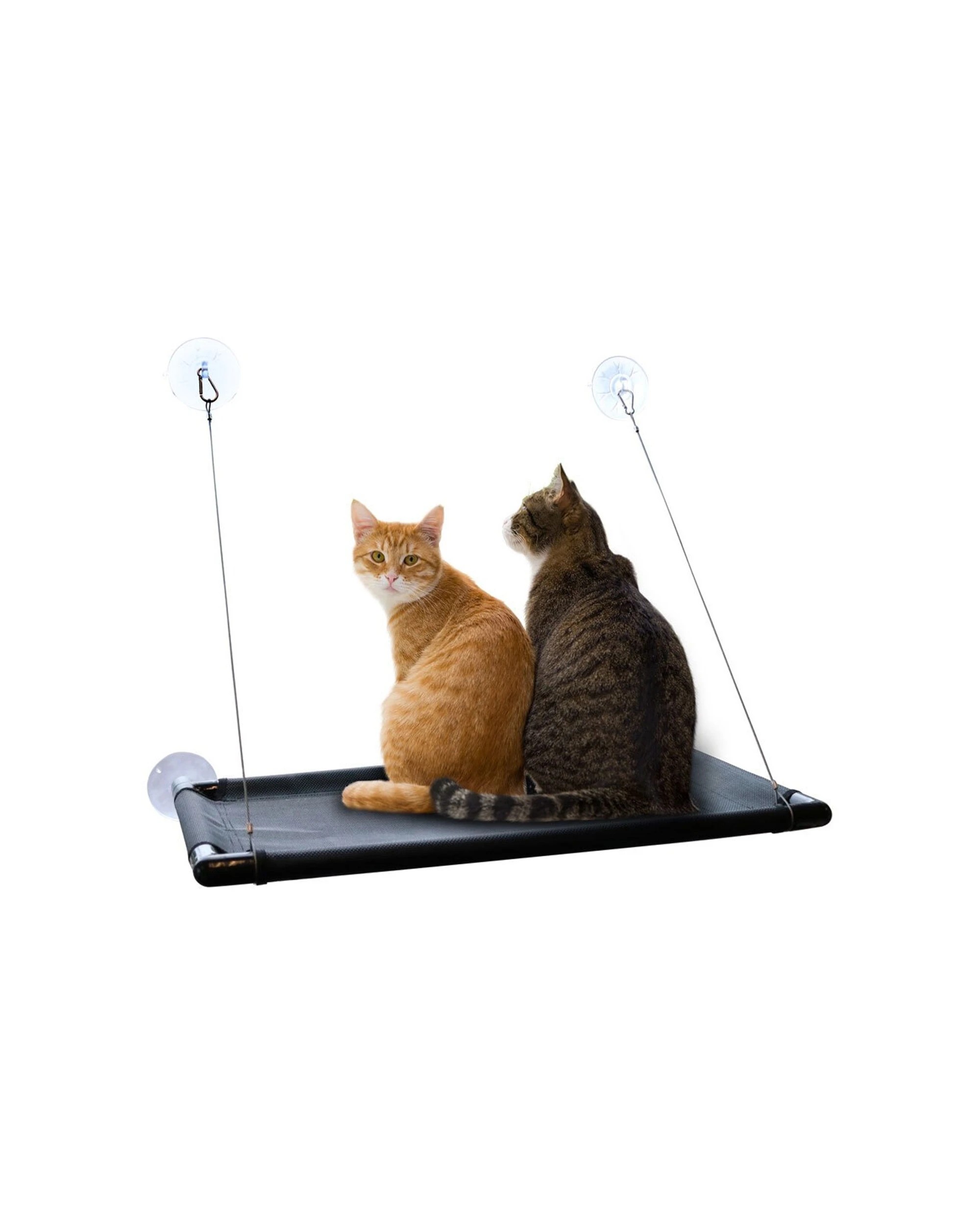 1 Paws And Claws Window Mounted Cat Hammock Black - Sturdy Indoor Pet Bed For Multiple Cats 66x40cm
 - Black, 1 of 4