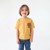 SMALL LION FACE YELLOW OCHRE