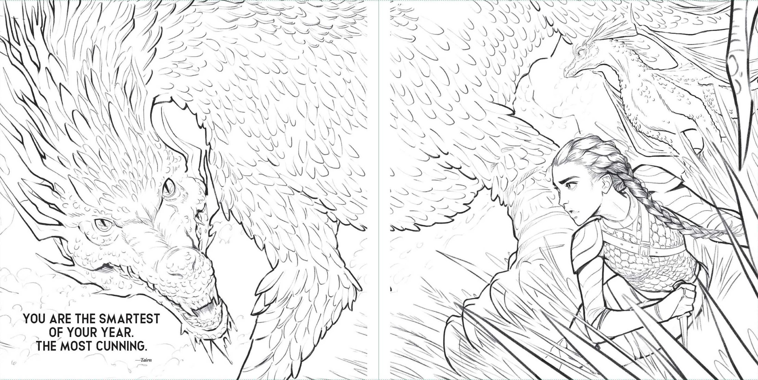 2 Fourth Wing: The Official Colouring Book, 2 of 4