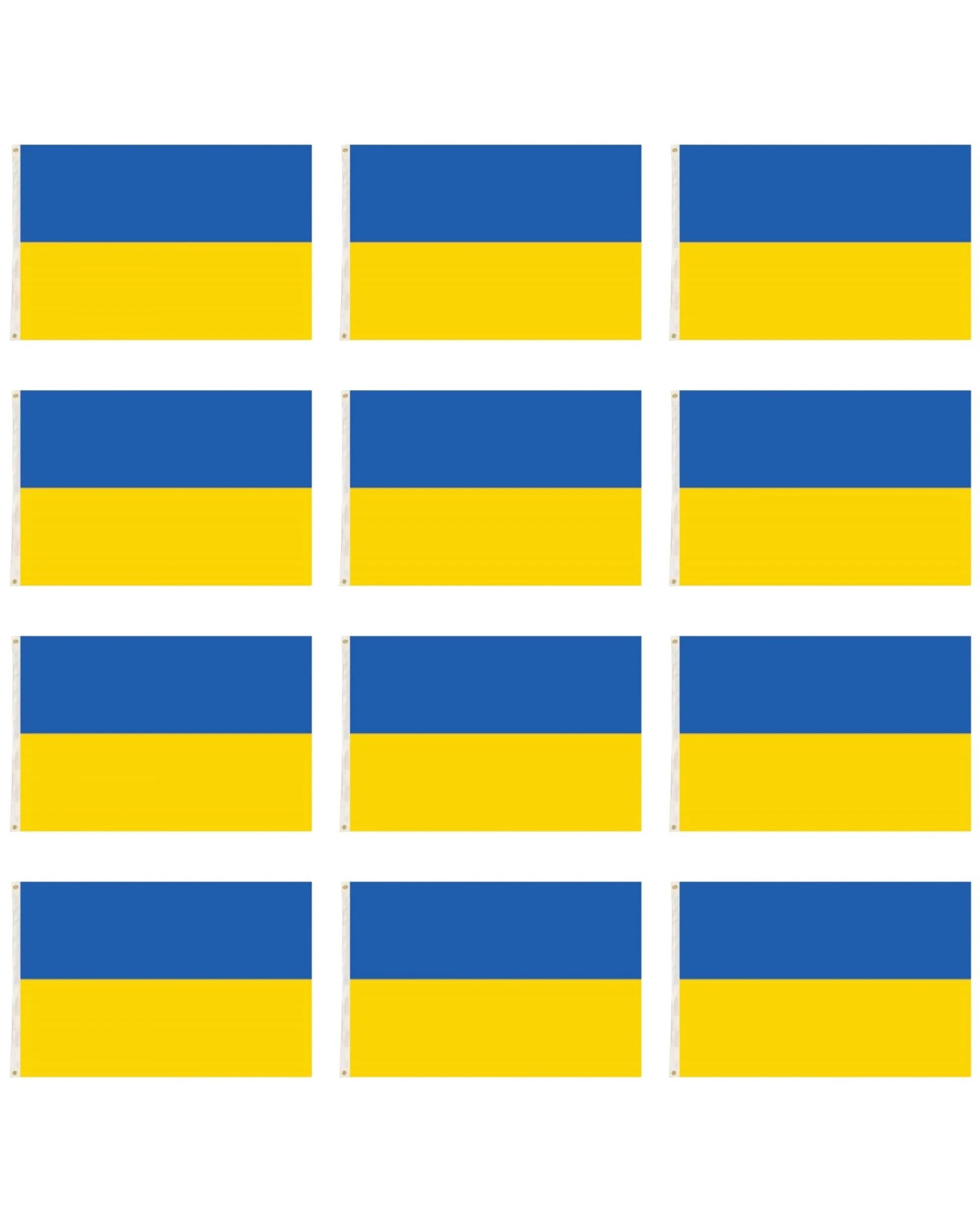 1 BR Costumes Ukraine Country Flag Ukrainian Metal Eyelets 12 Pack, 1 of 1