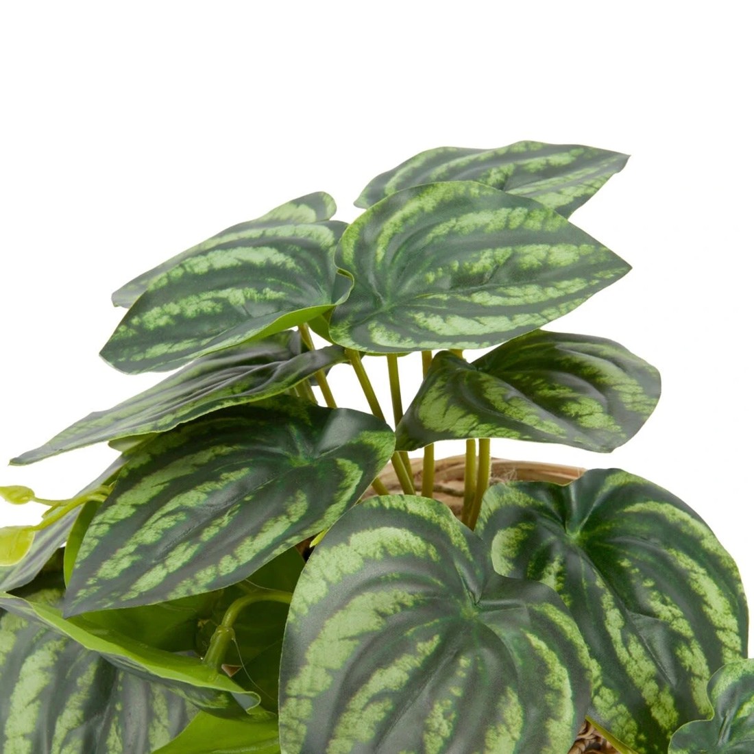 3 Artificial Stripe Leaf Plant in Basket, 3 of 4