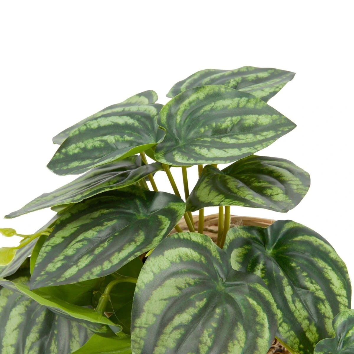3 Artificial Stripe Leaf Plant in Basket, 3 of 4