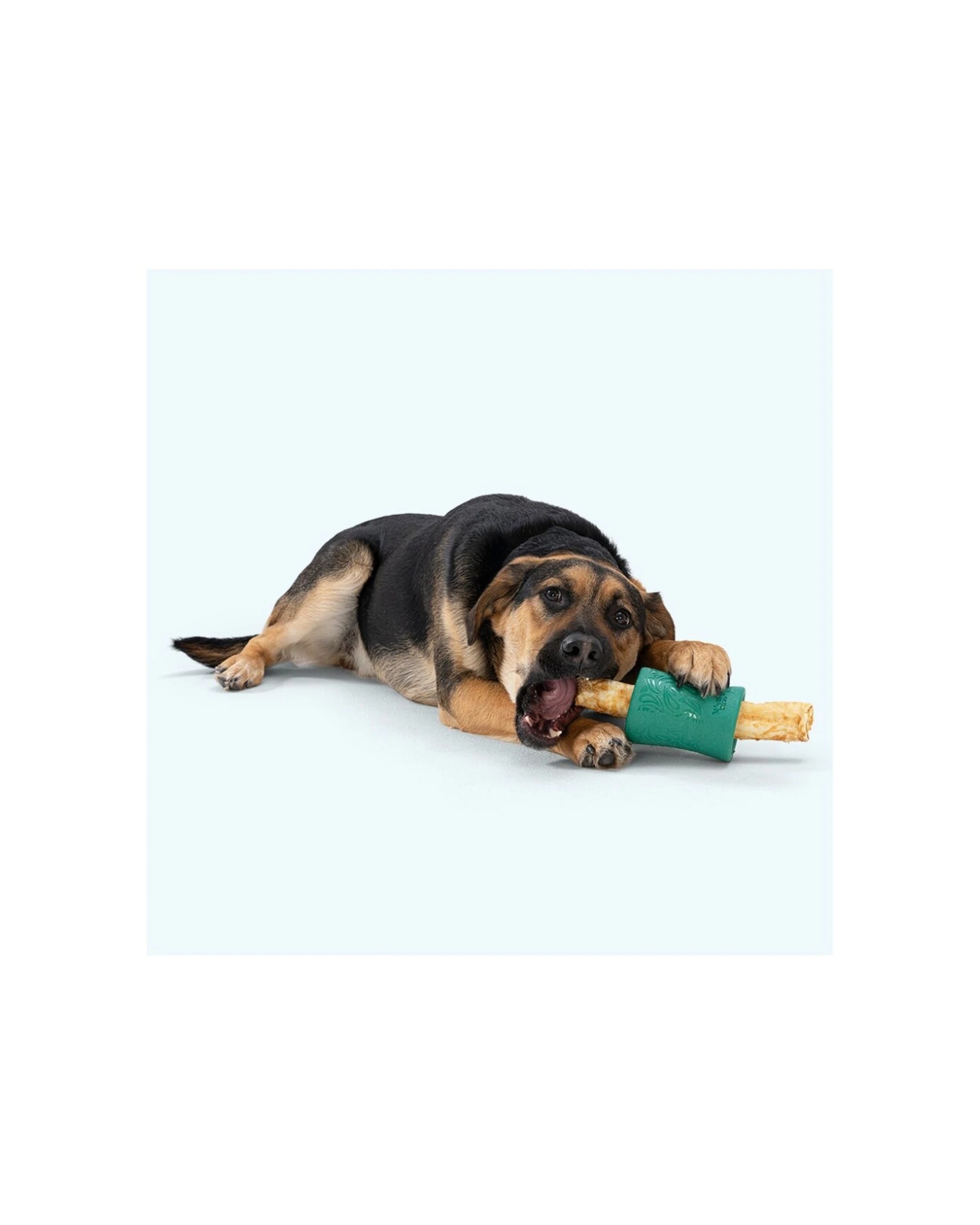 5 West Paw Funnl Pet Dog Treat Dispenser Soft Chew Toy No-Hide Holder Zogoflex - Blue, 5 of 5