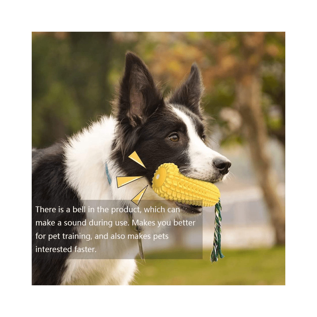 3 BR Pets Dog Toothbrush Teeth Cleaner Chew Toy, 3 of 7