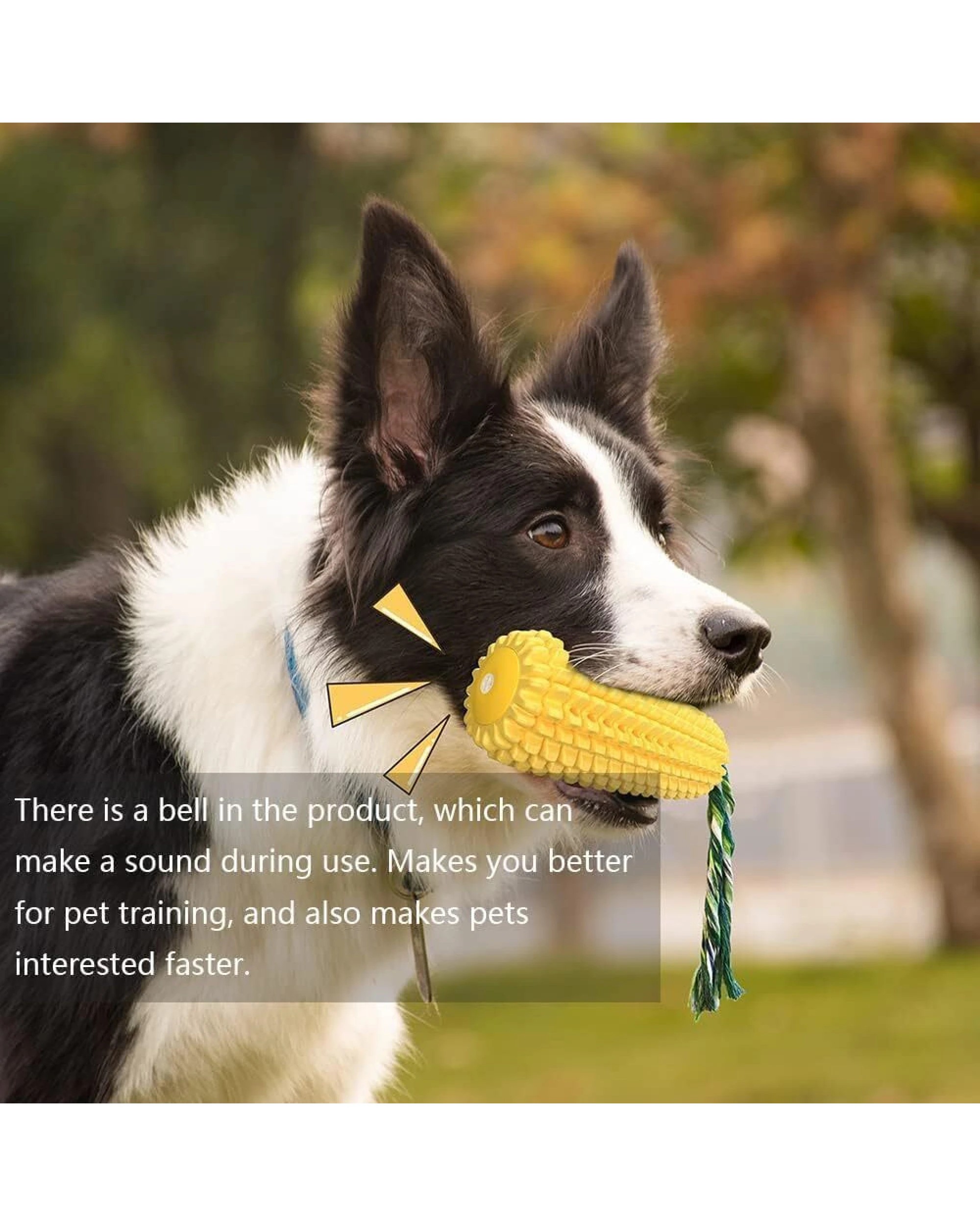 3 BR Pets Dog Toothbrush Teeth Cleaner Chew Toy, 3 of 7