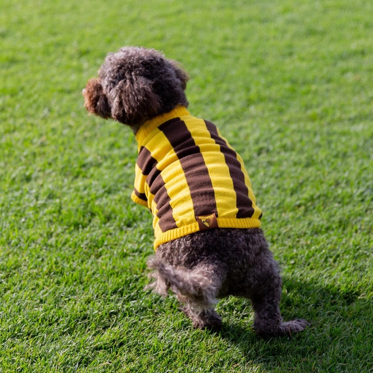 1 AFL Hawthorn Hawks Pet Jumper - Medium, 1 of 4