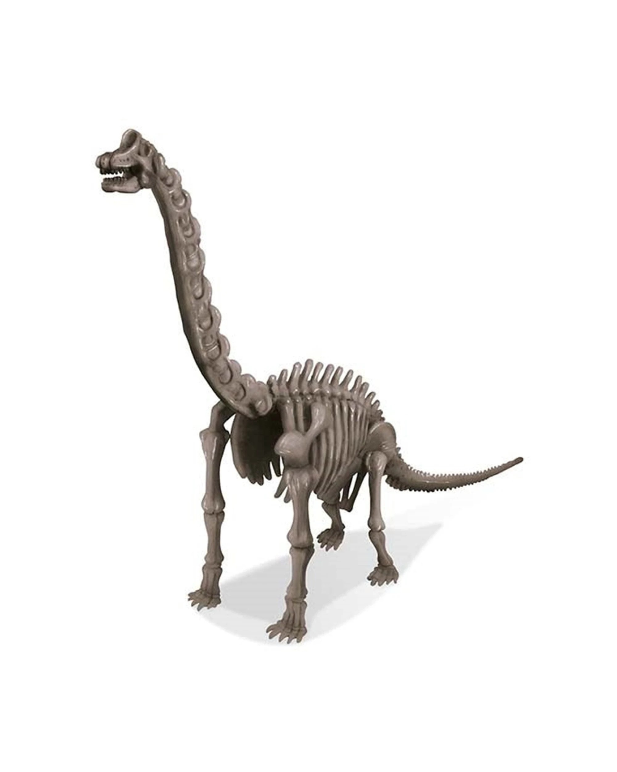 2 4M KidzLabs Dig A Dinosaur Brachiosaurus Hidden Bones Kids Learning Toy, 2 of 3
