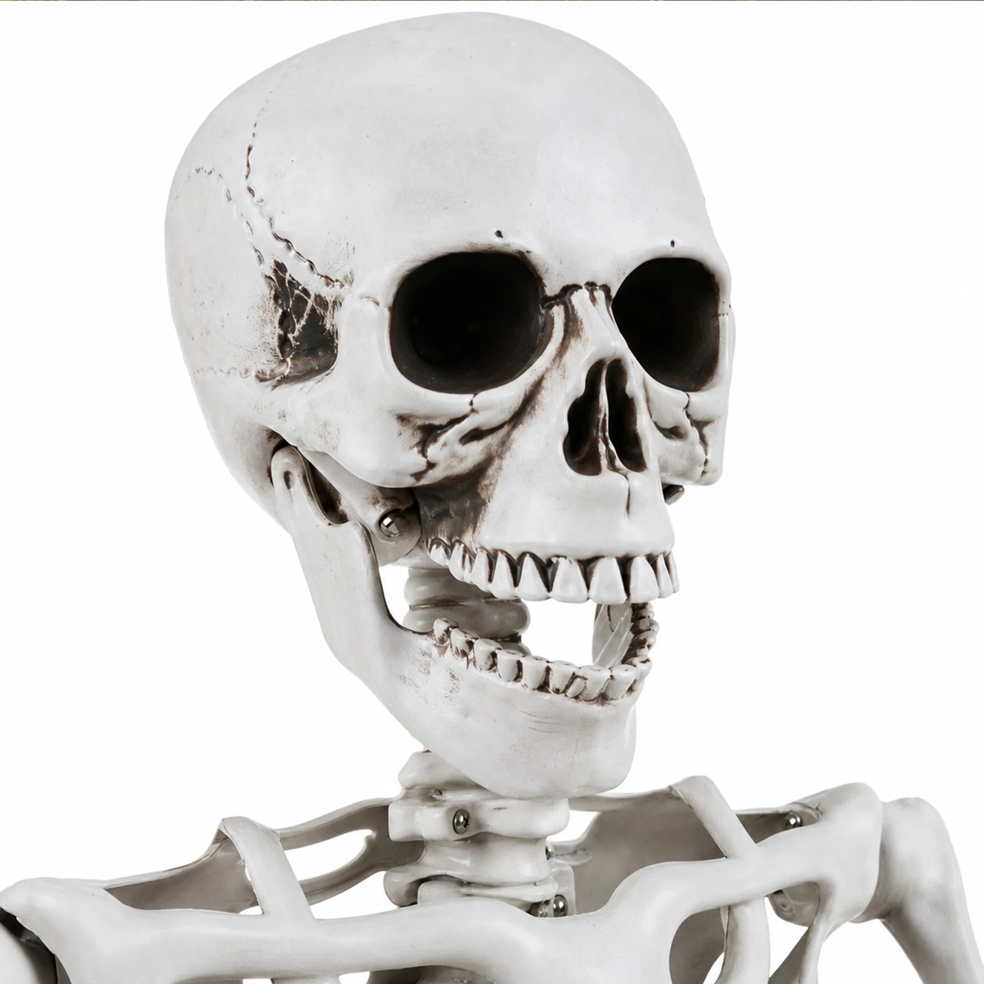 5 Yezi Halloween Decorations Skeleton 169cm Life Size Posable ABS White, 5 of 8