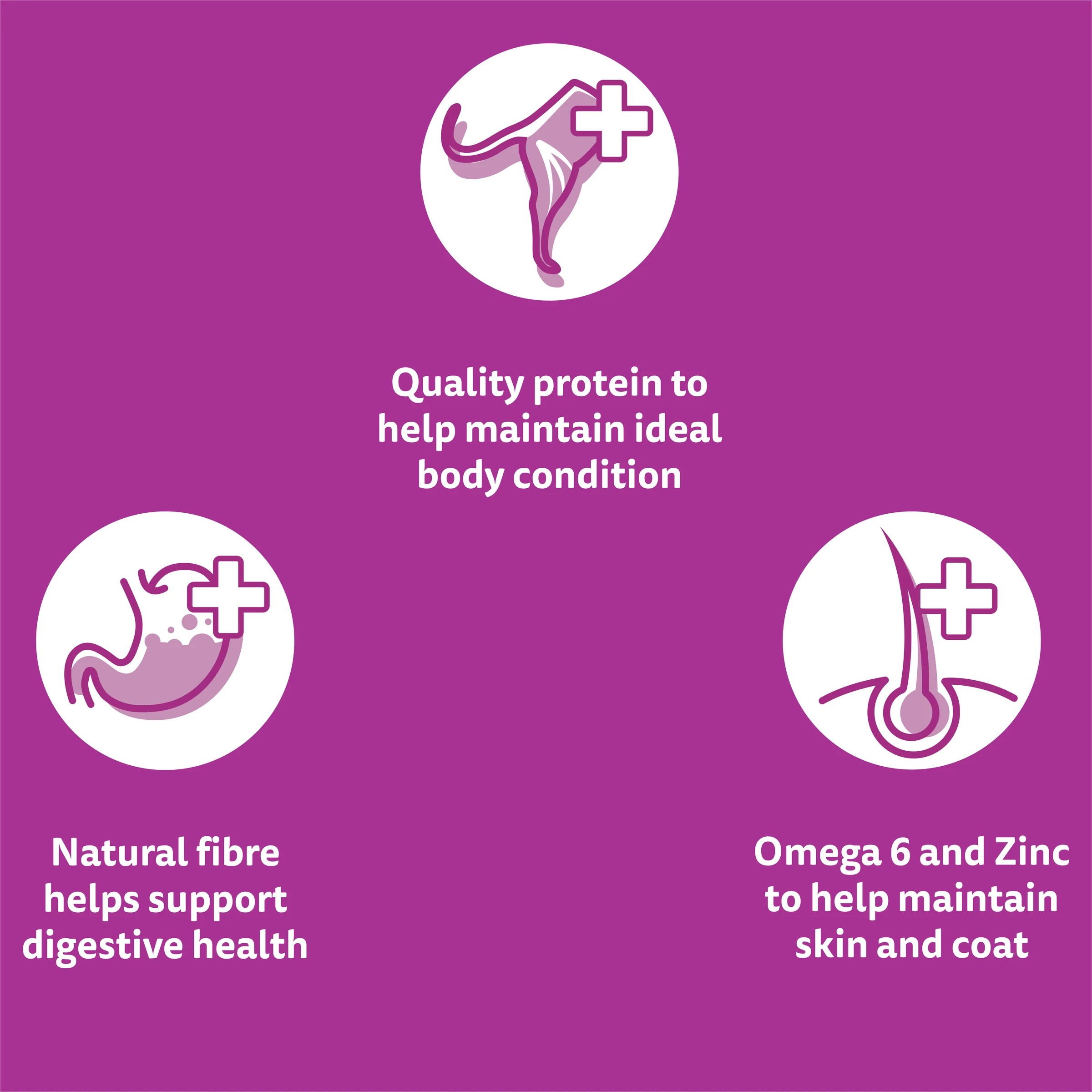 5 Whiskas Mixed Favourites in Jelly, 5 of 10