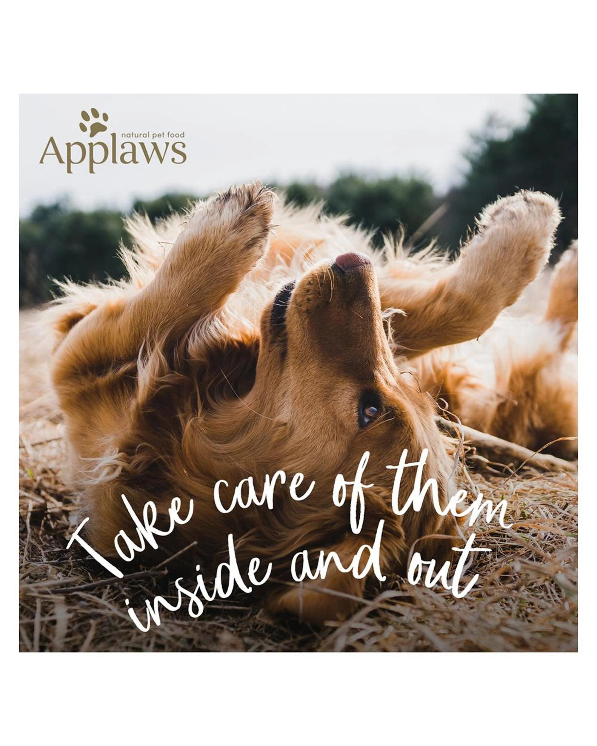 8 Applaws Its All Good All Breeds Grain Free Dry Dog Food Duck 2.7kg, 8 of 8