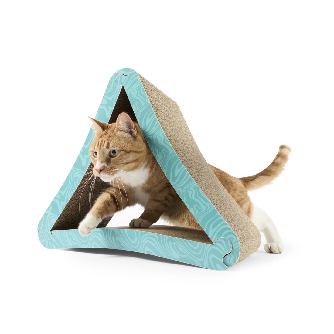 1 Cat Scratcher Triangle, 1 of 10