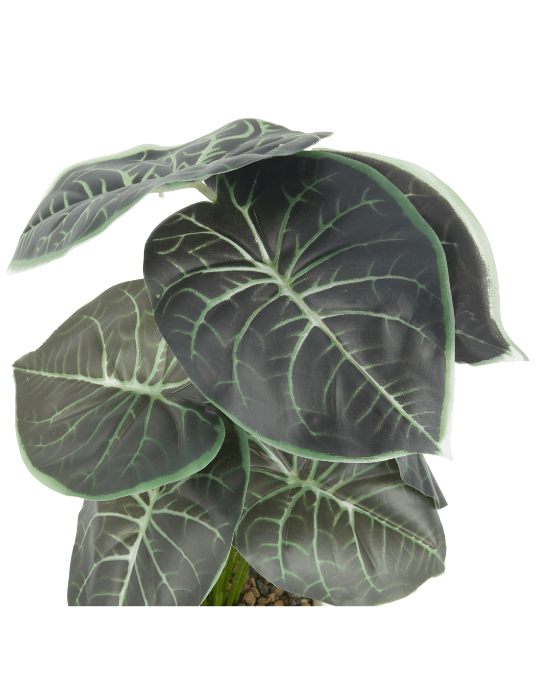 3 Artificial Alocasia in Pot, 3 of 4