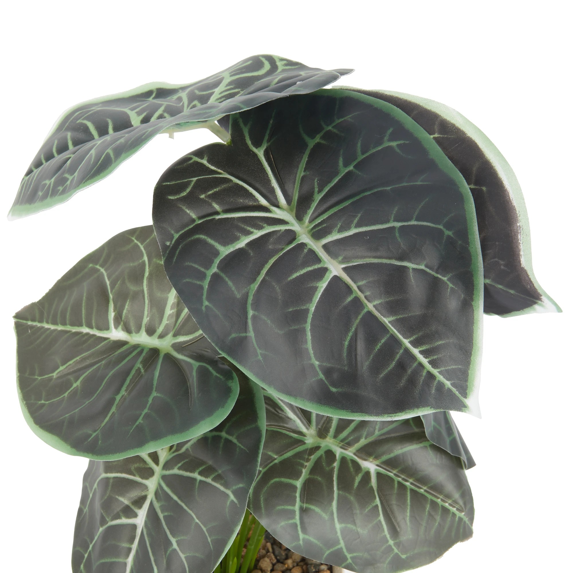 3 Artificial Alocasia in Pot, 3 of 4