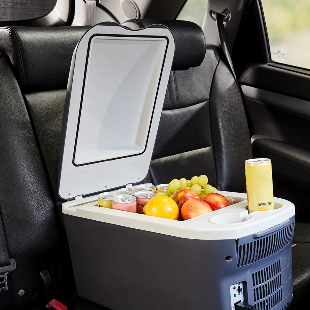 1 Thermoelectric Cooler and Warmer, 1 of 10