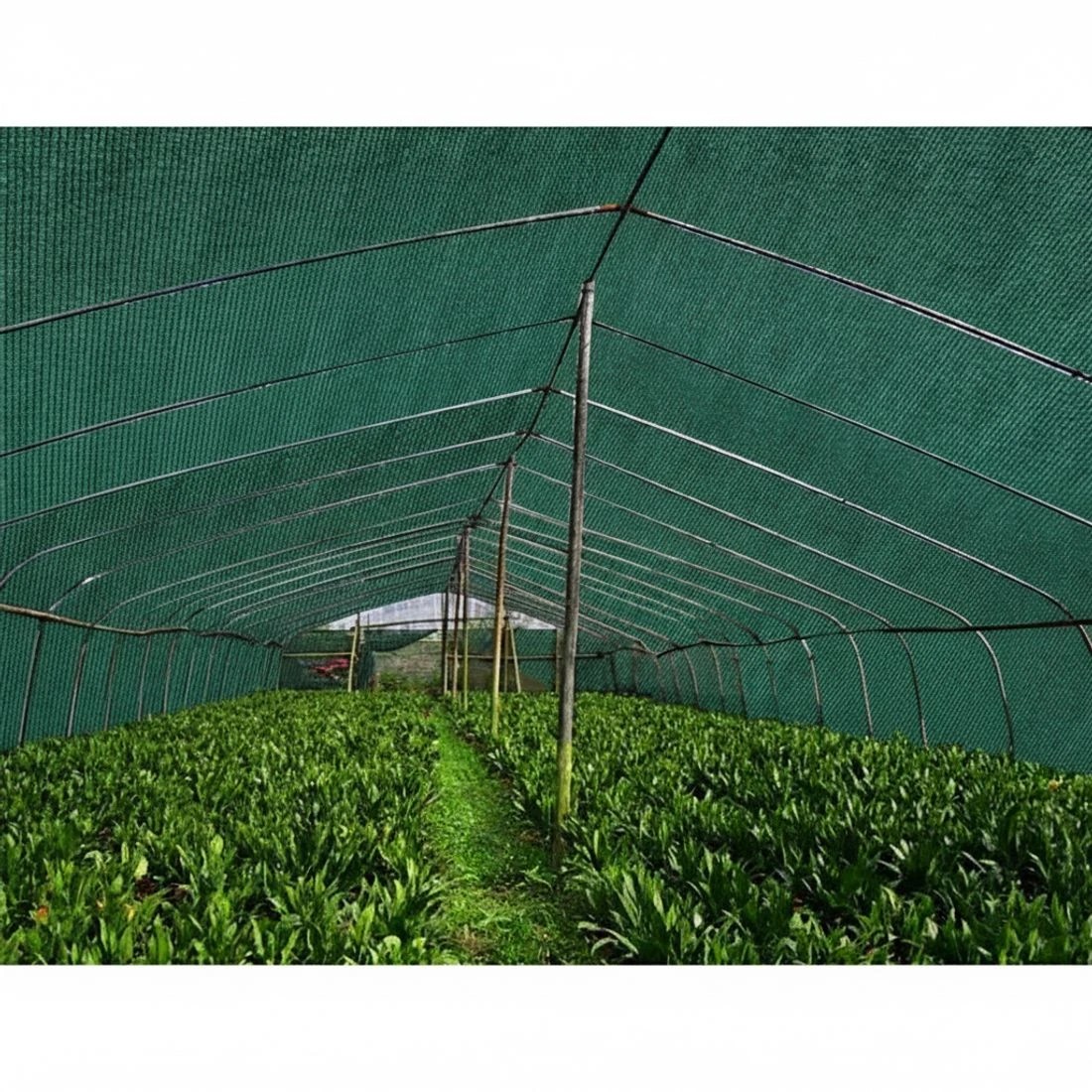 4 Instahut 50% Shade Cloth 1.83x50m Shadecloth Sail Heavy Duty - Green, 4 of 5