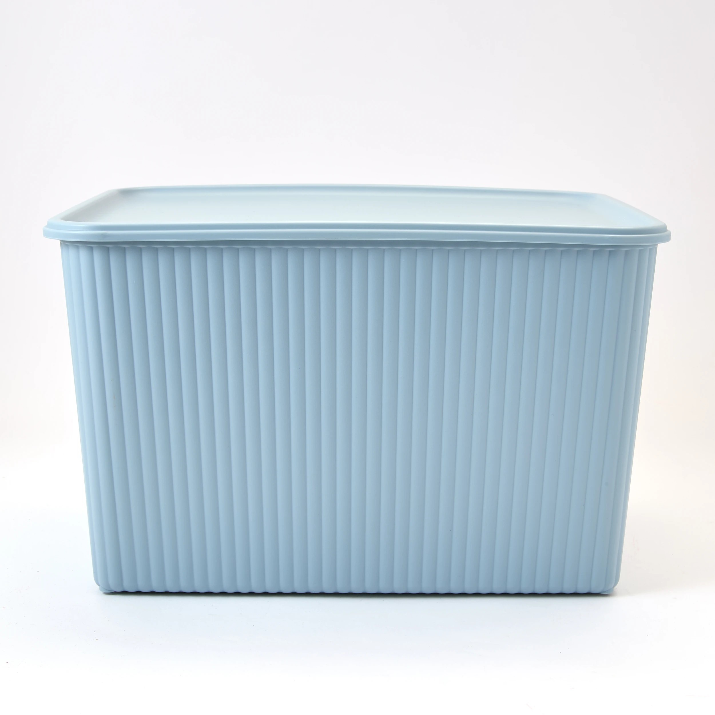 2 18L Ribbed Container - Blue, 2 of 10
