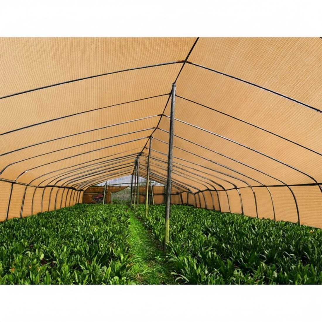 4 Instahut 50% Shade Cloth 1.83x10m Shadecloth Sail Hevy Duty - Beige, 4 of 5