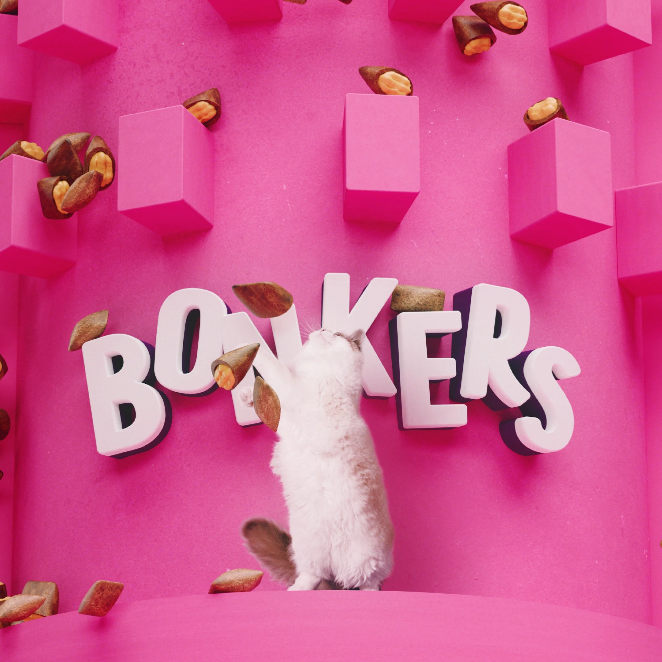 10 BONKERS Cat Treats Seafood, 10 of 10