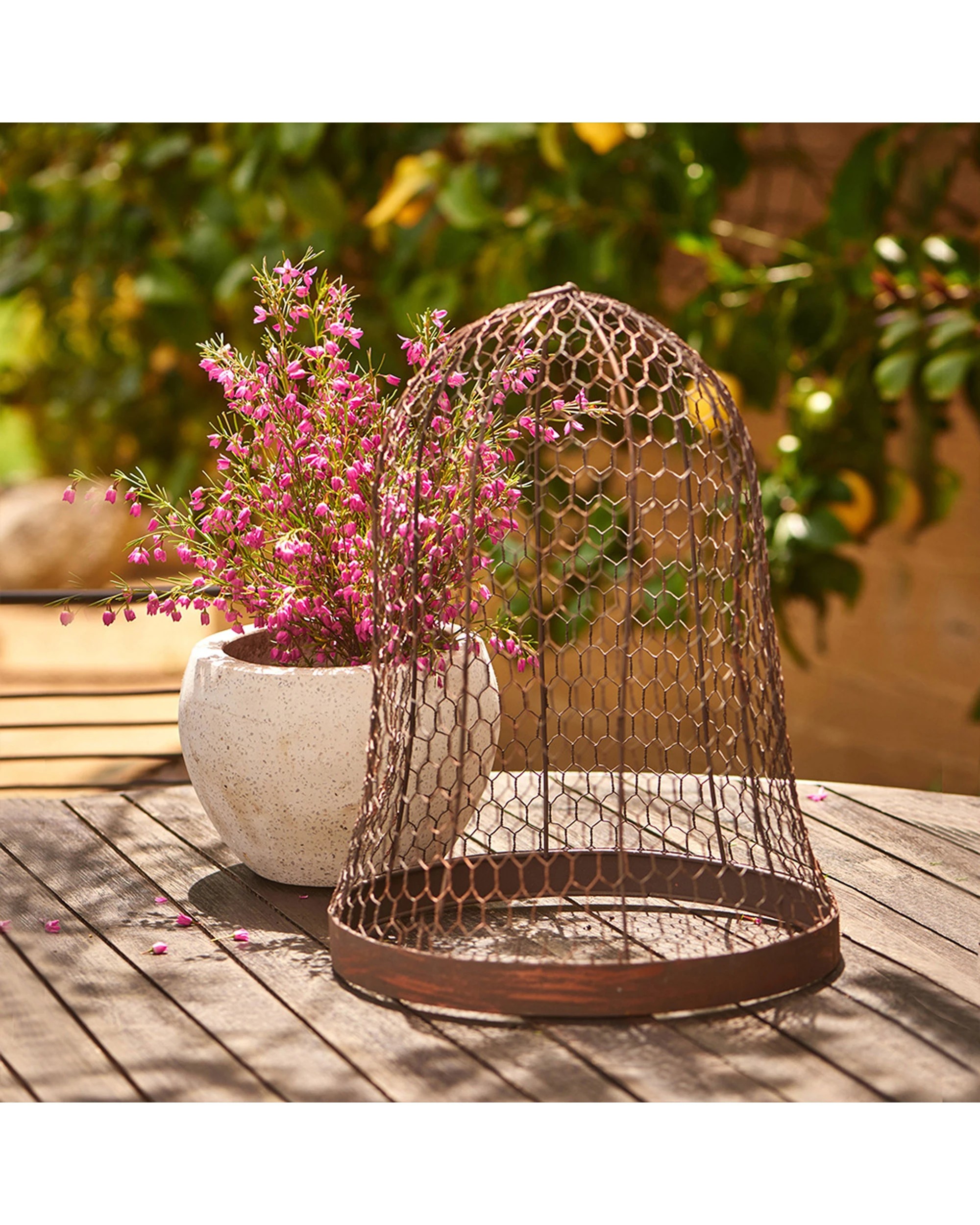 3 Alfresco Round Metal 44cm Cloche Outdoor Garden Plant Protector - Brown, 3 of 3