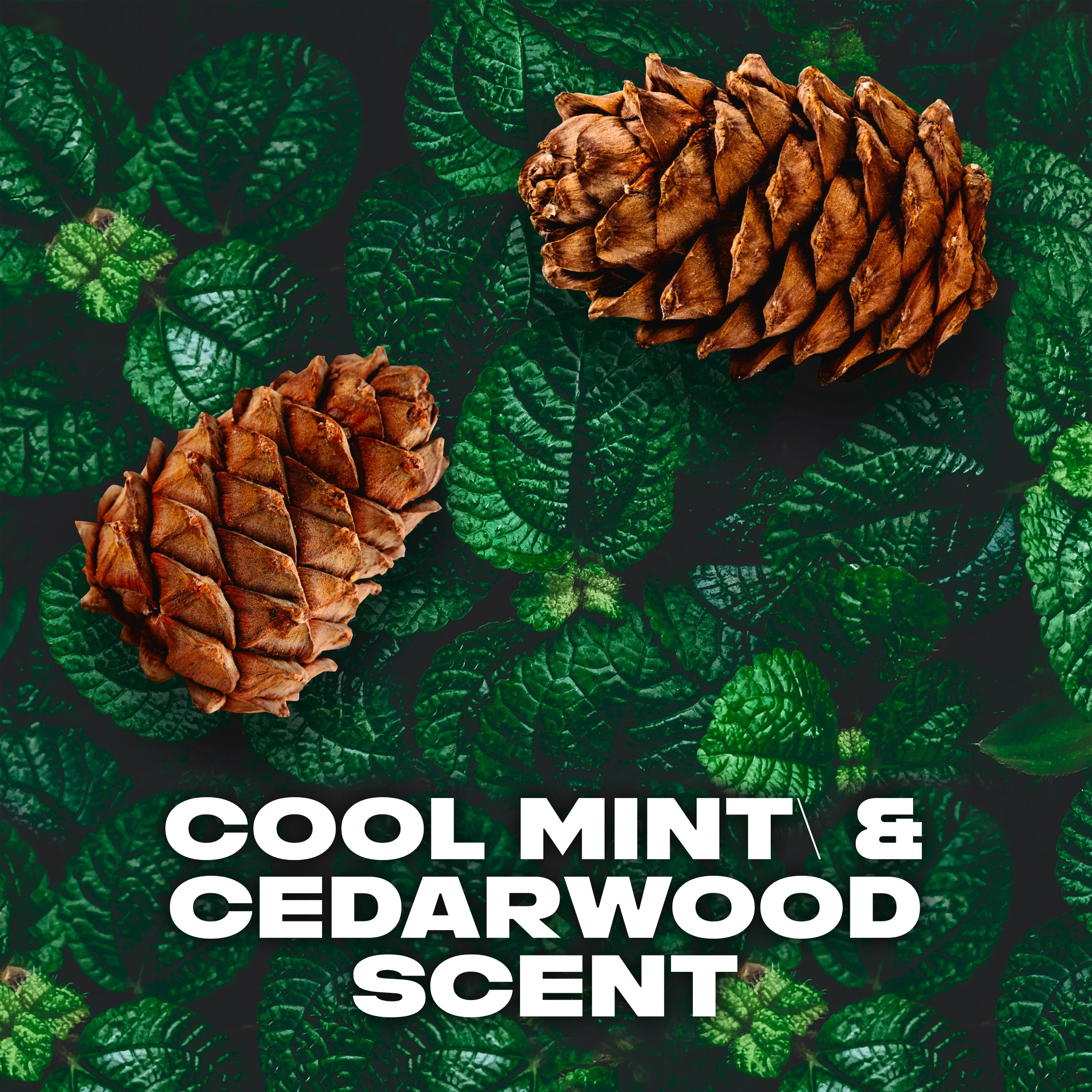 3 LYNX Black Night Deodorant Bodyspray, 3 of 5