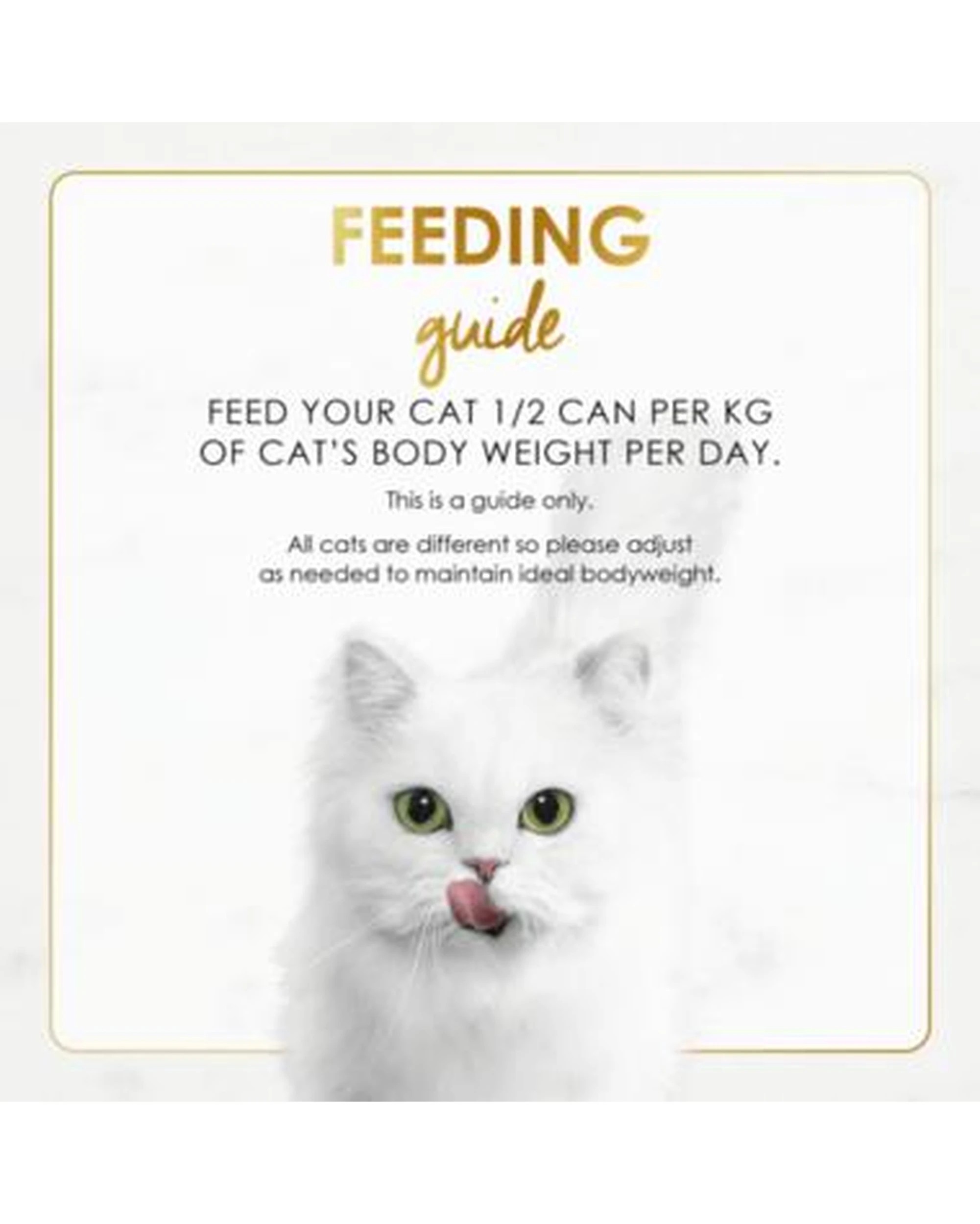 5 Fancy Feast Adult Classic Pate Wet Cat Food Ocean Whitefish & Tuna 24 x 85g, 5 of 6