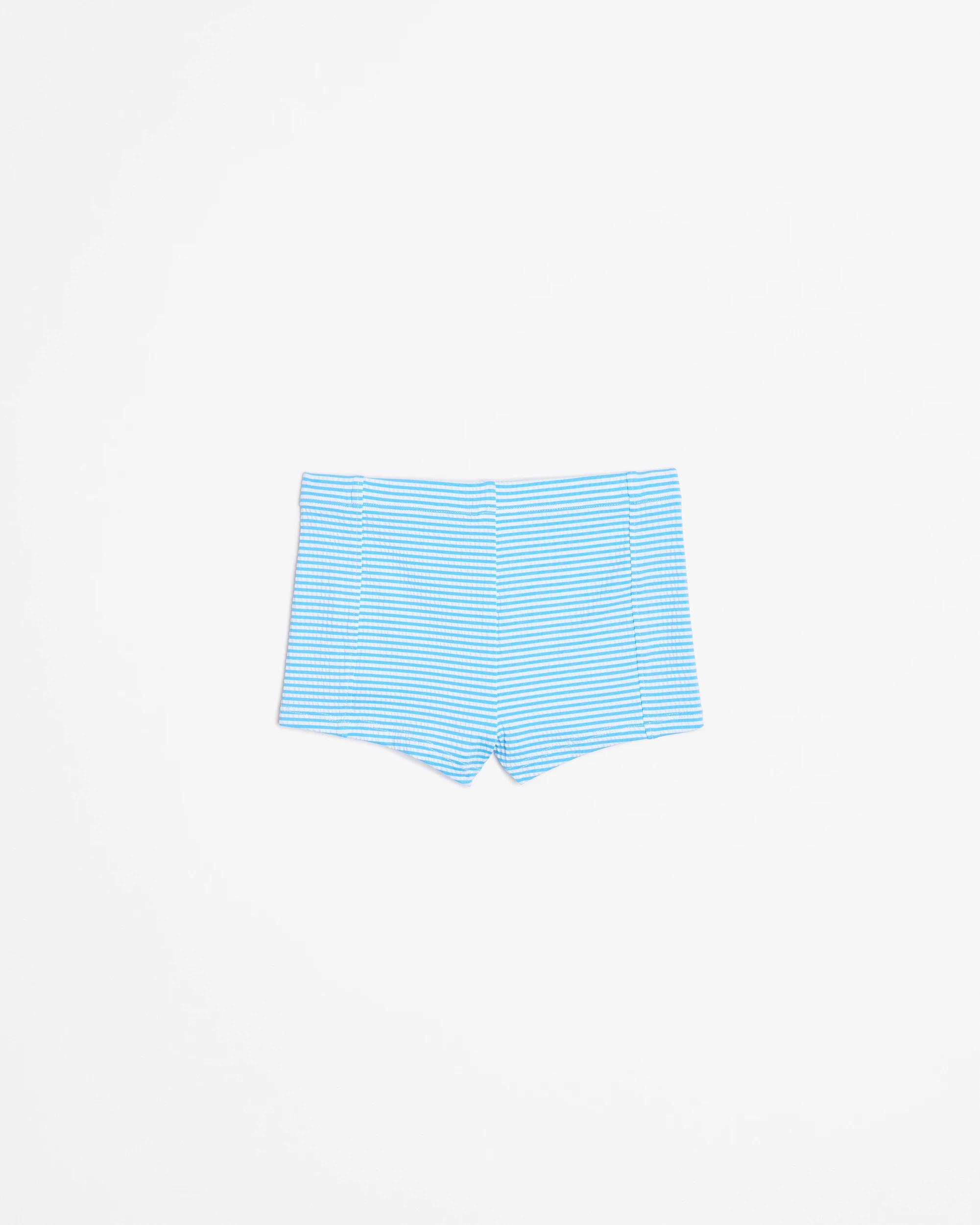 3 Target Stripe Swim Trunk BLUE / STRIPE, 3 of 3