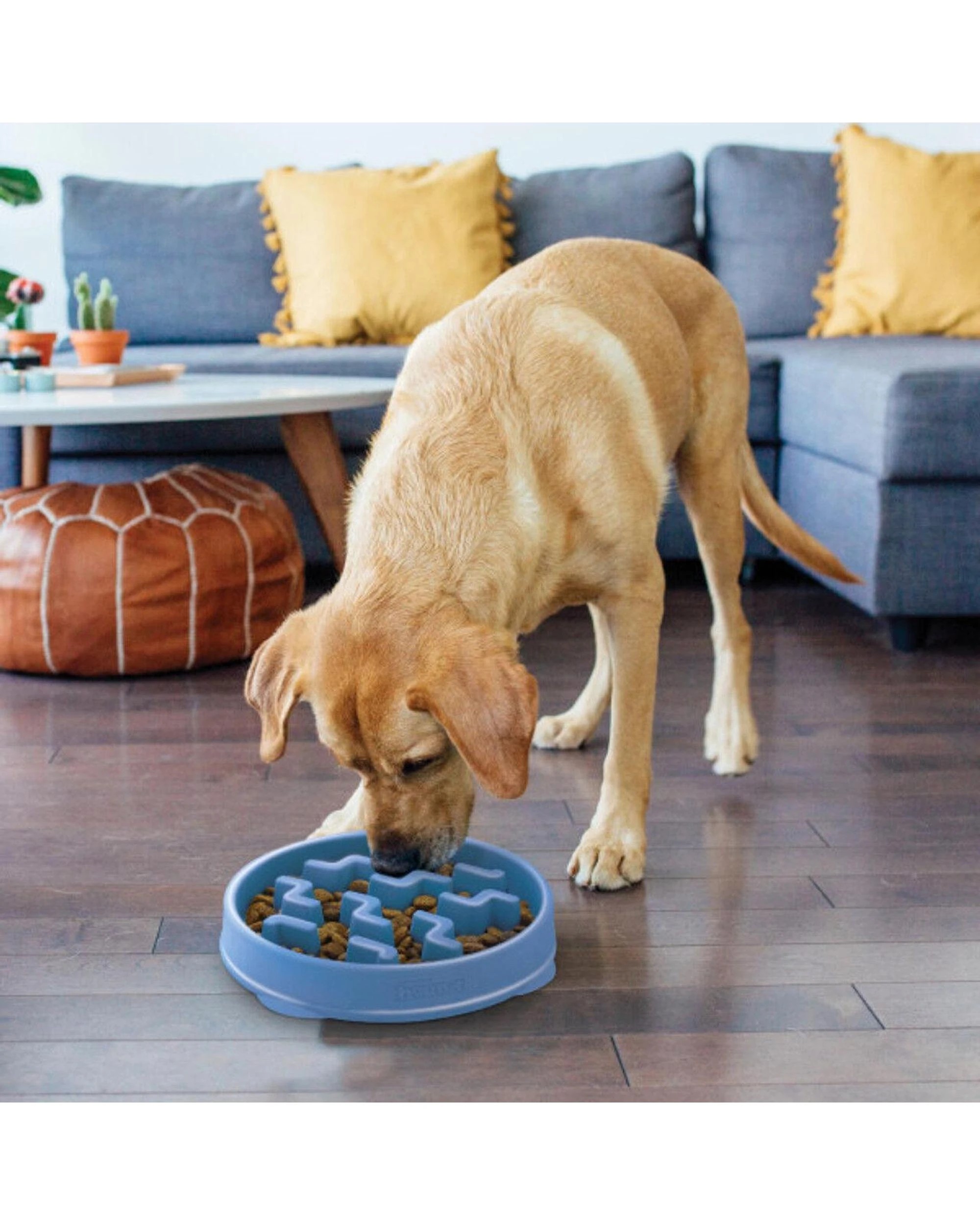 6 Outward Hound Fun Feeder Interactive Slow Bowl Notch for Dogs Blue Medium, 6 of 6